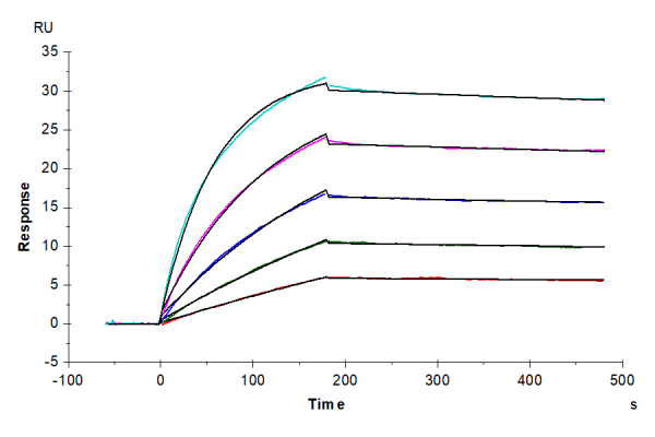 Human IL-17R alpha/CD217 Protein