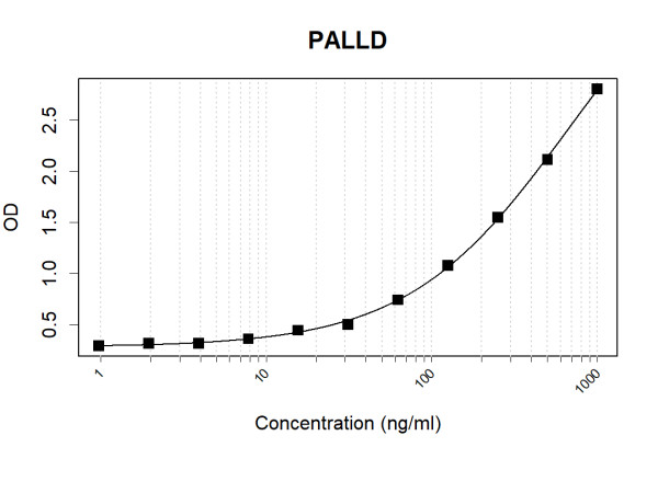 Anti-Human Palladin Antibody Pair