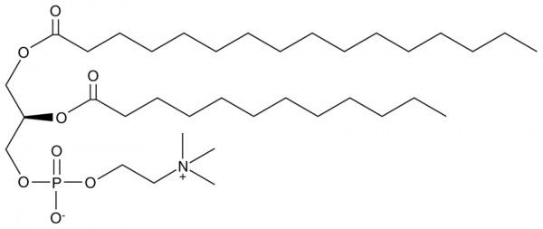 1-Palmitoyl-2-Lauroyl-sn-glycero-3-PC