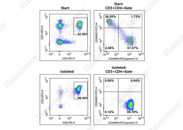 EasySort(TM) Human Naïve CD4+T Cell Isolation Kit