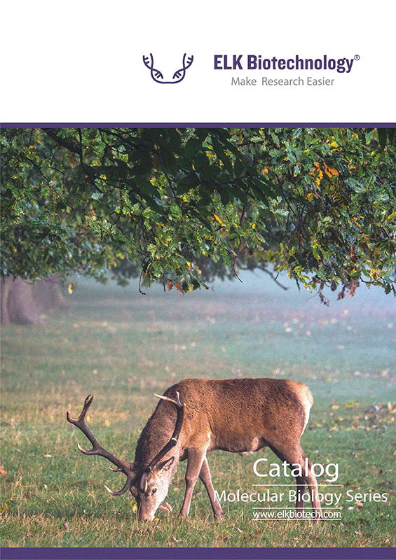 Molecular Biology Series