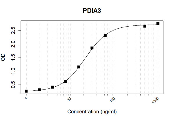 Anti-Human ERp57 Antibody Pair