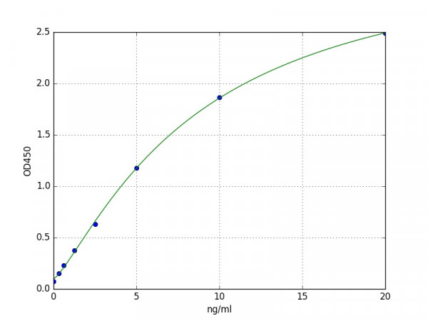 Human Testican-2 / SPOCK2 ELISA Kit