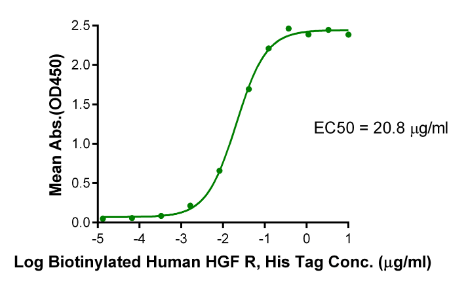HGF R/c-MET[Biotin], His &amp; Avi, Human