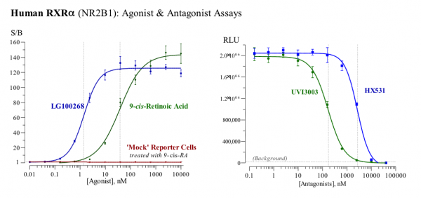 RXR (human) Reporter Assays Panel