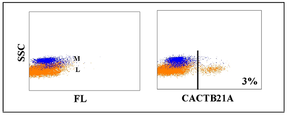 Anti-WC1+ gamma delta T cell (WC1-N29 epitope) (bovine), clone CACTB21A
