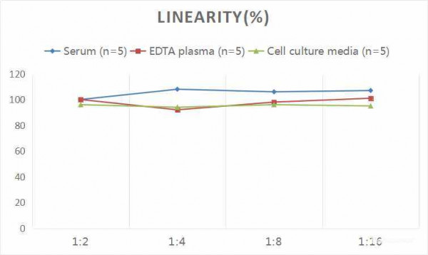 Rat GFAP (Glial Fibrillary Acidic Protein) CLIA Kit