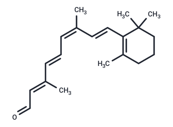 9-cis-Retinal