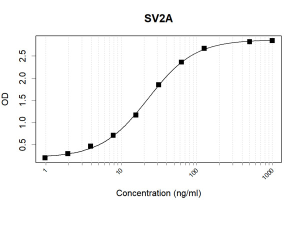 Anti-Human SV2A Antibody Pair