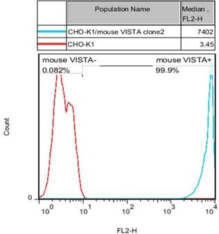 CHO-K1/Mouse VISTA Stable Cell Line