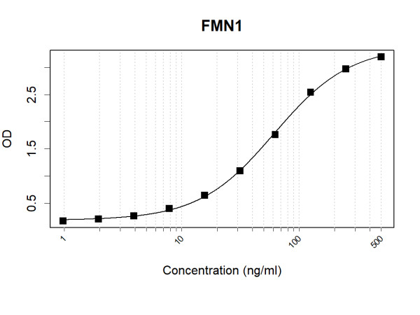 Anti-Human FMN1 Antibody Pair