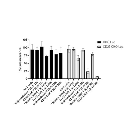 Anti-CD22 CAR-T Cells
