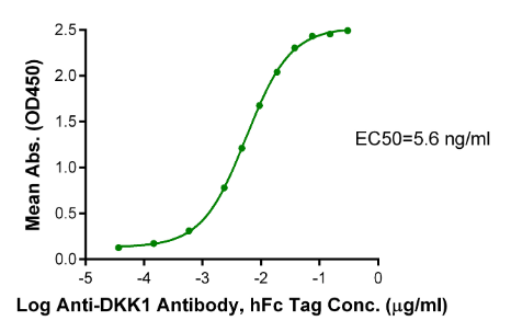 DKK1, His, Cynomolgus/Rhesus macaque