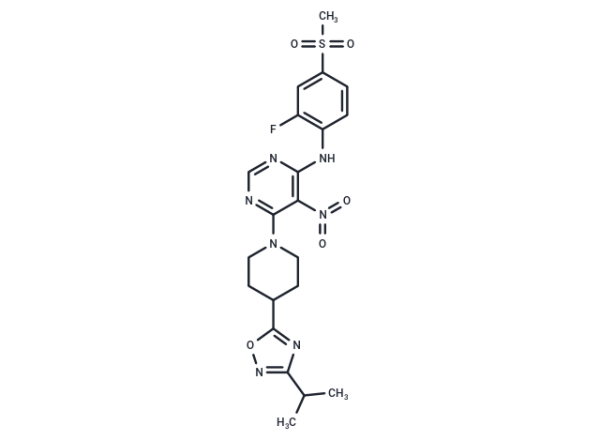 AR 231453