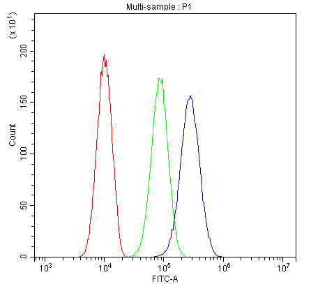 Anti-Bcl 6