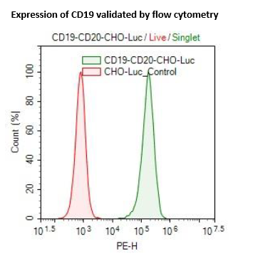 CD19 / CD20 / Firefly Luciferase CHO Cell Line