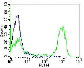 Anti-CD3, clone OKT3