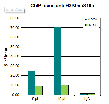 Anti-H3K9acS10p