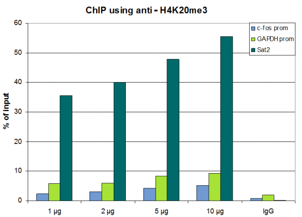 Anti-H4K20me3