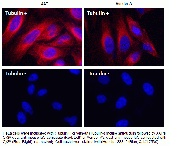 Cy3(R) goat anti-mouse IgG (H+L) *Cross Adsorbed*