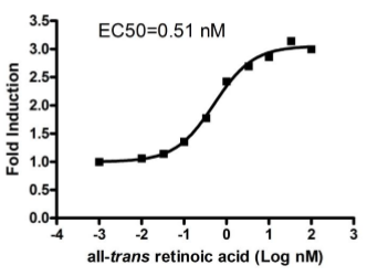 RARgamma Reporter Cellular Assay Pack