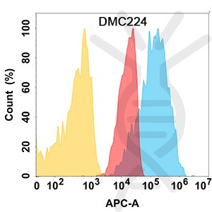 Anti-CD112 antibody(DMC224), IgG1 Chimeric mAb