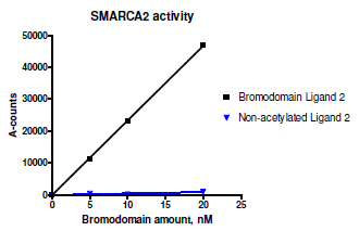 SMARCA2 Inhibitor Screening Assay Kit