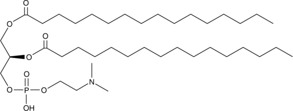 1,2-Dipalmitoyl-sn-glycero-3-N,N-dimethyl-PE