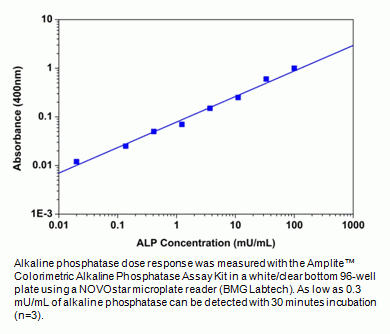 Amplite(TM) Colorimetric Alkaline Phosphatase Assay Kit *Yellow Color*