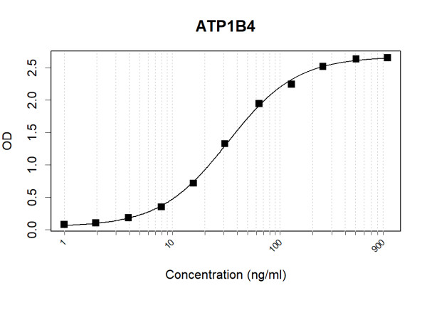 Anti-ATP1B4 (Biotin)