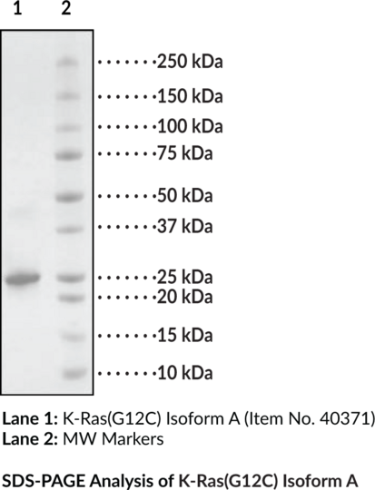 K-Ras(G12C) Isoform A (human, recombinant)