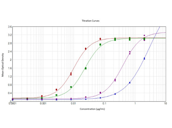 Anti-SARS-CoV-2 Whole Spike Protein