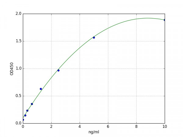Human MMP-16 ELISA Kit