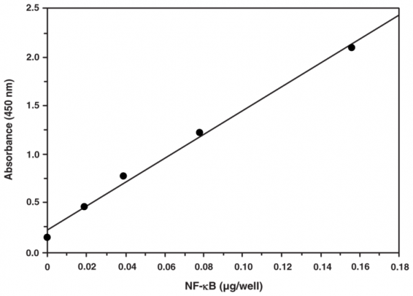 NF-kappaB (human p50) Transcription Factor Assay Kit