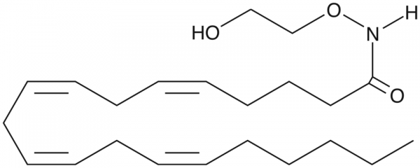 oxy-Arachidonoyl Ethanolamide