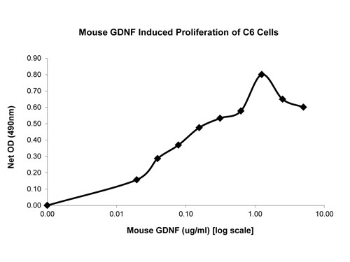 Glial Derived Neurotrophic Factor