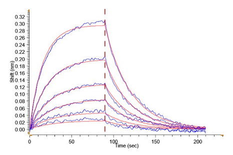 IL-13 hFc Chimera, Human