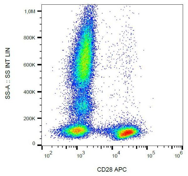 Anti-CD28 (APC), clone CD28.2