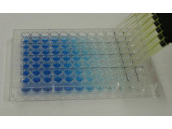 ELISA Microwell Blocking Buffer with Stabilizer (Azide and Mercury Free)
