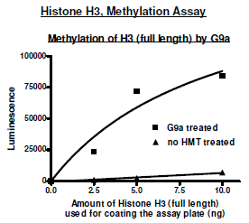 Histone H3, full length, recombinant Protein, N-terminal His-tag