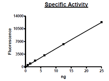 HDAC1, His-Tag, FLAG-Tag (Mouse)