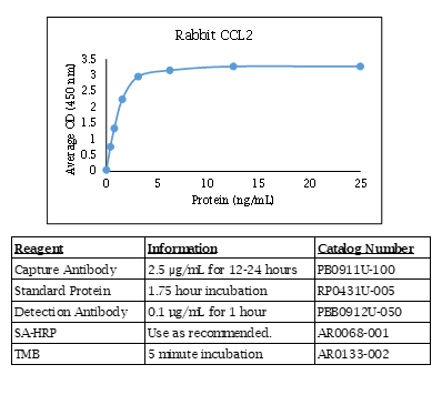 CCL2 (MCP-1) (rabbit) Do-It-Yourself ELISA