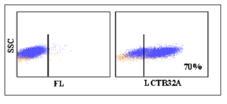 Anti-CD25 (bovine), clone LCTB32A