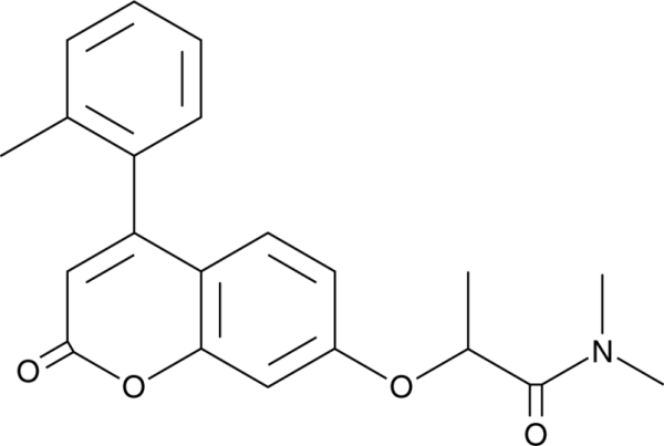 IMT1