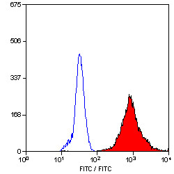 Anti-Macrophages (FITC), clone MAC387