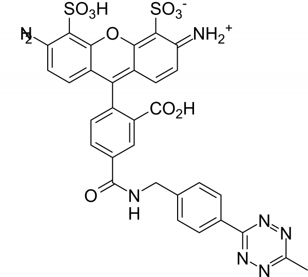 AF488 tetrazine