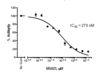 PRMT1 Homogeneous Assay Kit