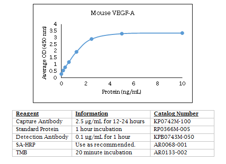 Anti-Vascular Endothelial Growth Factor-A (VEGF-A) (mouse)