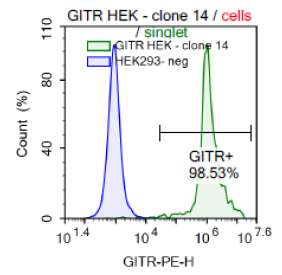 GITR - HEK293 Recombinant Cell Line