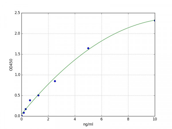 Human 8-oxoGuanine DNA Glycosylase / OGG1 ELISA Kit